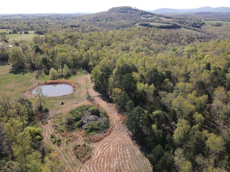 DJI_0300
