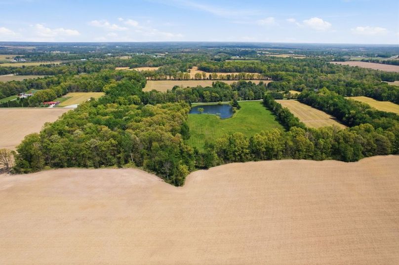 34-web-or-mls-DJI_0774