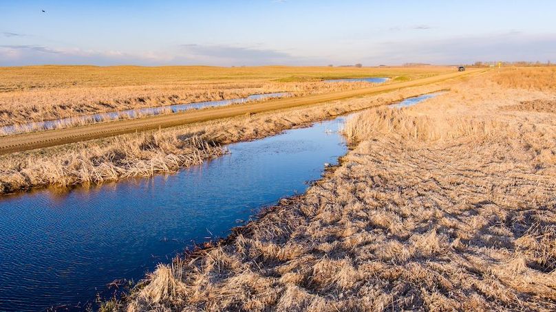 2. wetland