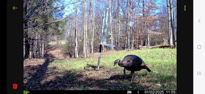 Cullman 53 Rice_Sullivan Trail Cam-5