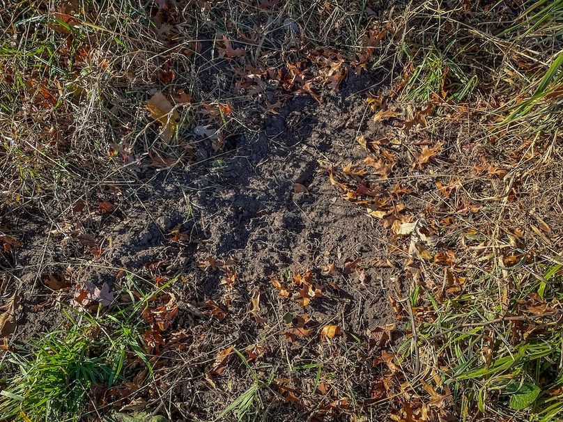 Portage 150.81 JMJK Prop-17