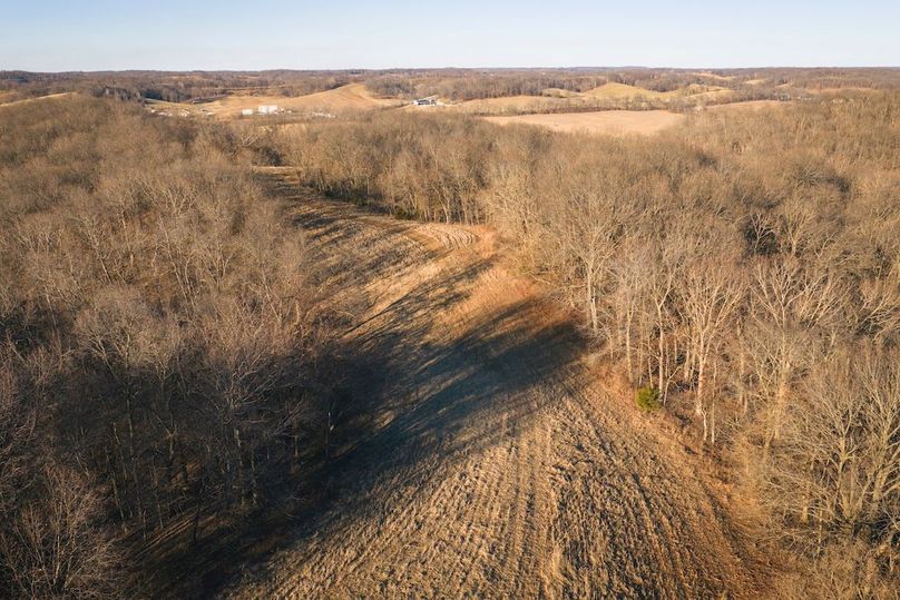 DJI_20260218162113_0639_D