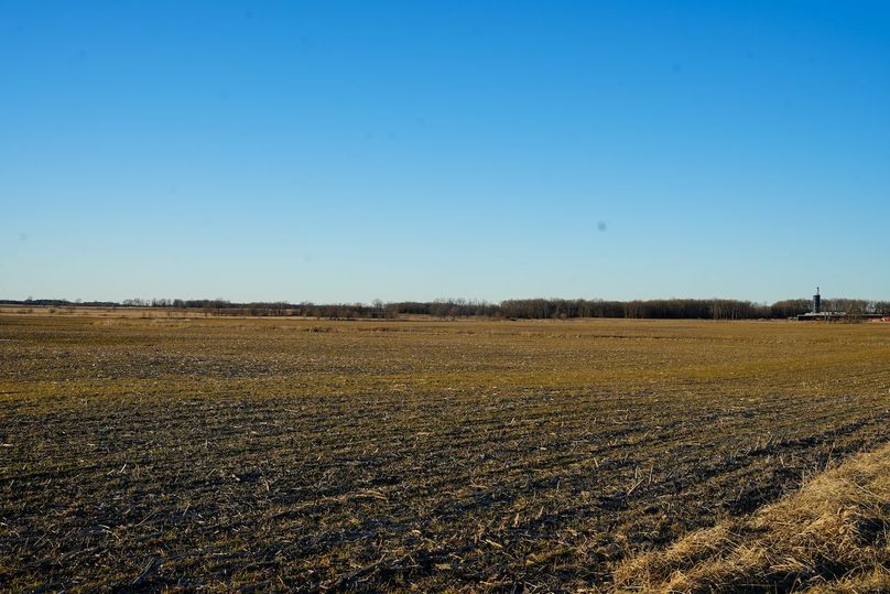 DSC02458bluestem