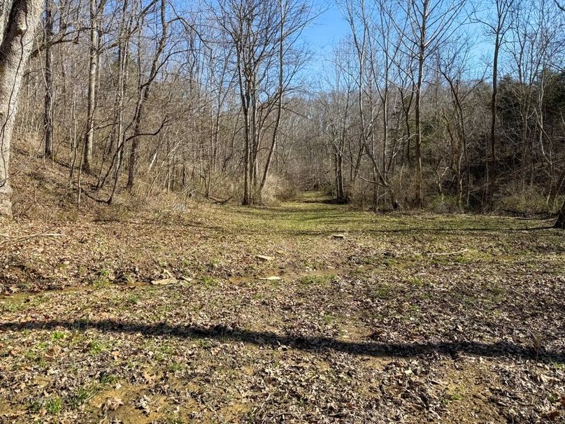 Fleming Petry 120-062