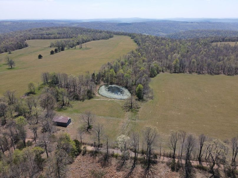 dji_fly_20260408_132032_439_1775672441693_photo