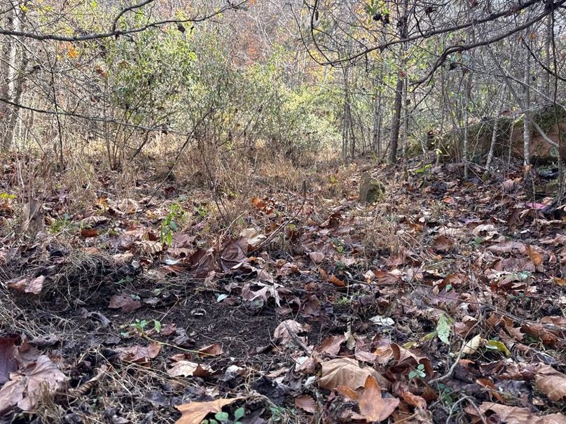 013 Another Deer Scrape following Road Bed