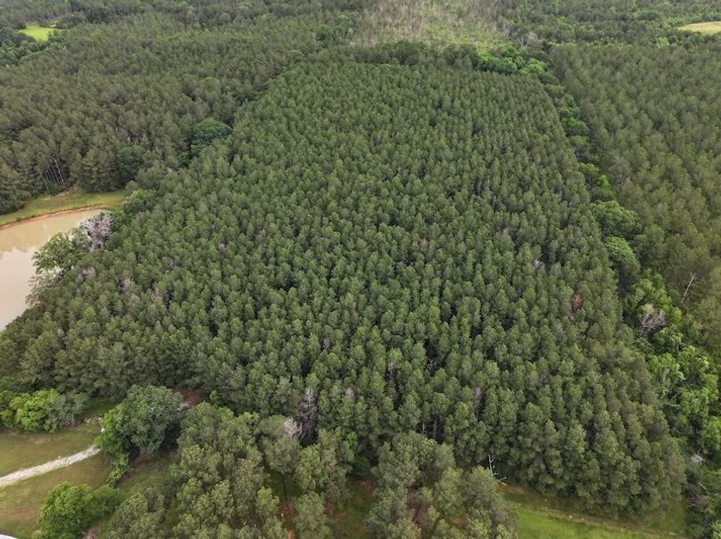dji_fly_20250521_084616_0049_1748359386049_photo