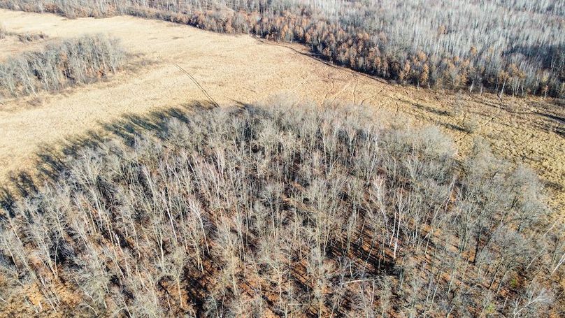 ClarK 160 WILLIAMS -33