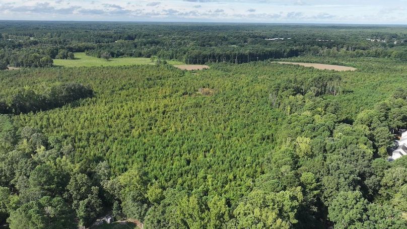 DJI_20250821015951_0255_D