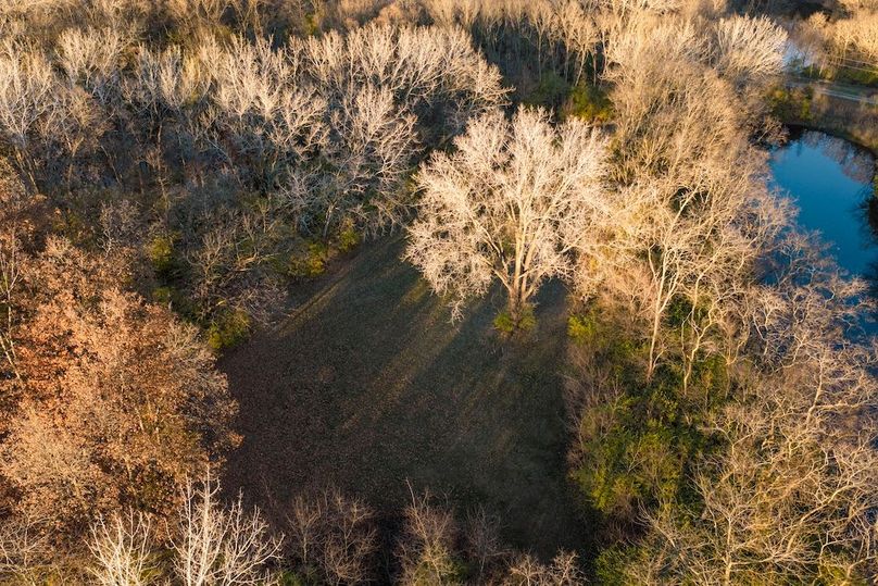 DJI_20251123155824_0239_D-HDR