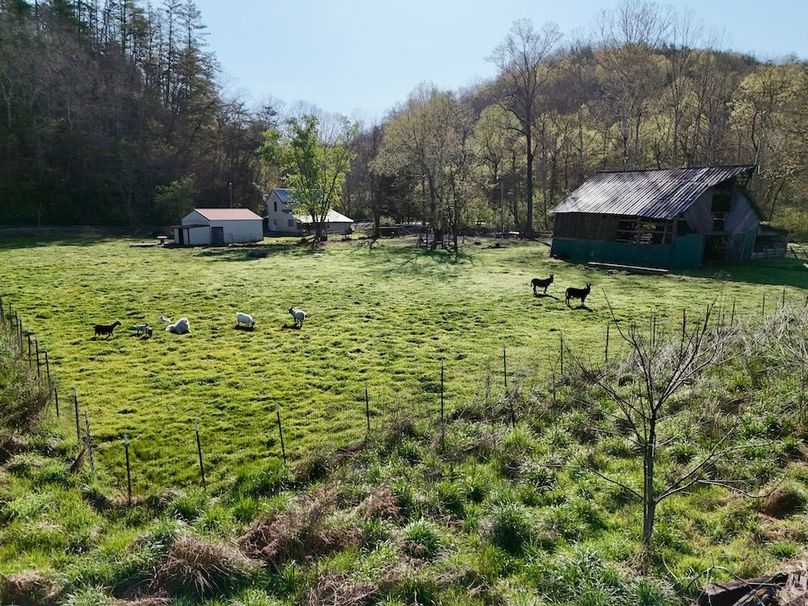 Scott Co TN 286 Keeton_046