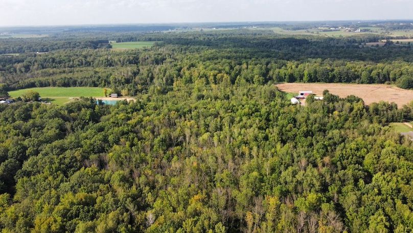 dji_fly_20240826_164100_379_1724709038475_photo_optimized