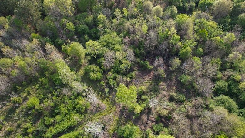 DJI_0457