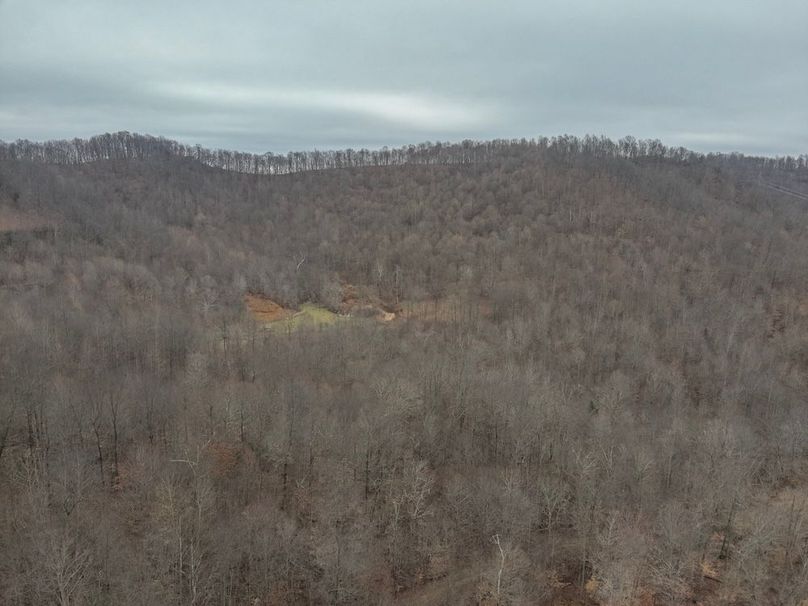 5-DJI_20260308110056_0013_W