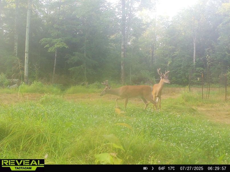 865814048724973-50-2-07272025062956-HD-W1014490