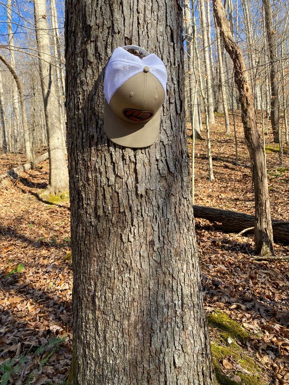 Lewis ky 304 Austin 007