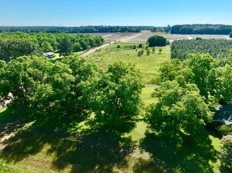 dji_fly_20240521_094328_365_1716299362232_photo