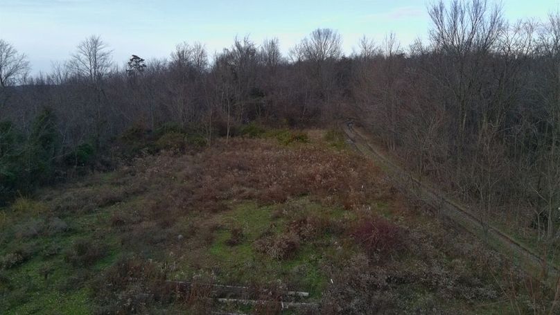 4825078_100DRONE_SING0490