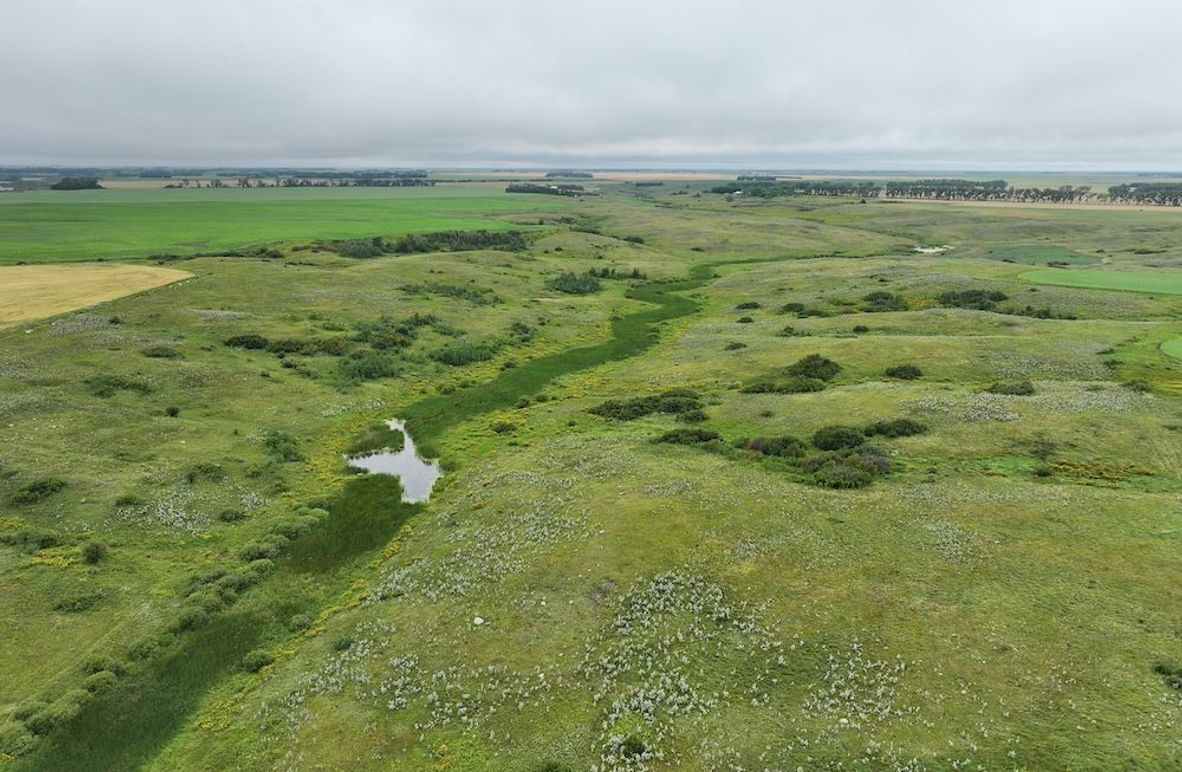 DJI_20250704133152_0602_D