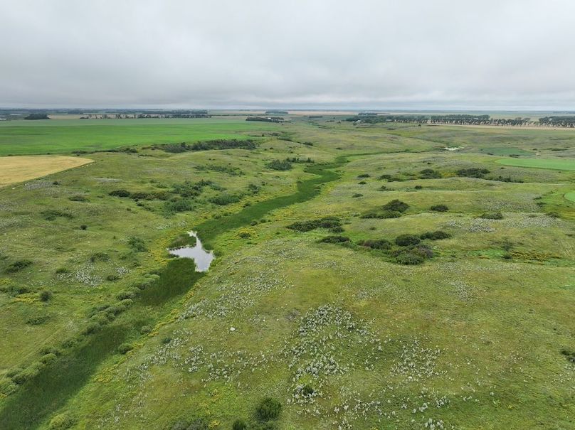 DJI_20250704133152_0602_D