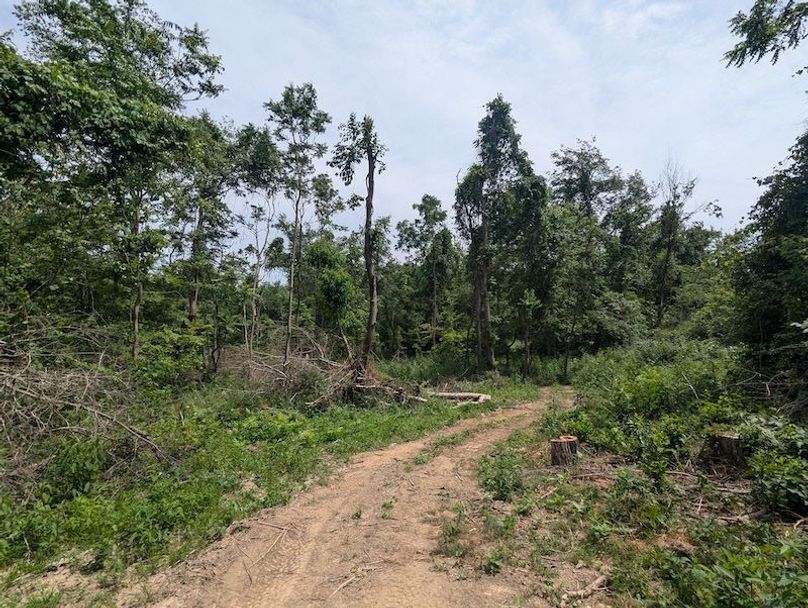 PXL_20240625_181422818