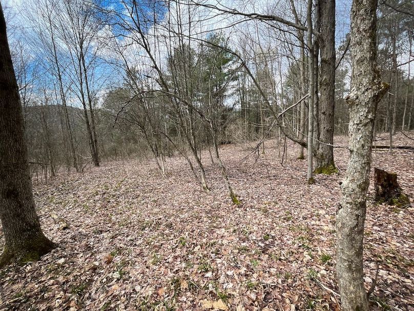 Tioga__NY_109.7_Burris_Photos_66