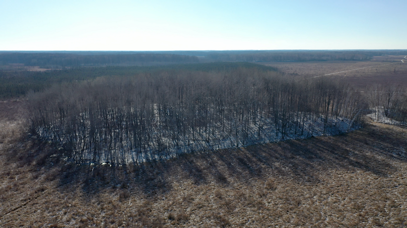 Screenshot 2024-02-12 at 9.44.17 AM