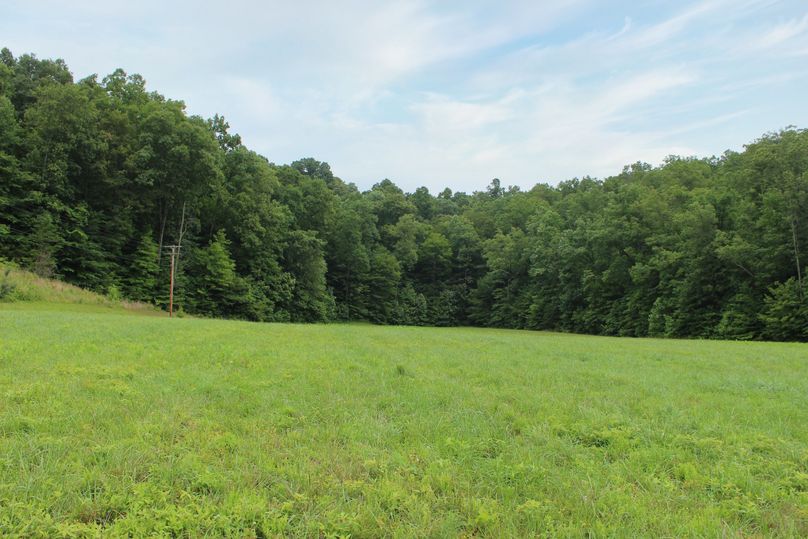 013 ground level view of the back valley field area behind the cabin