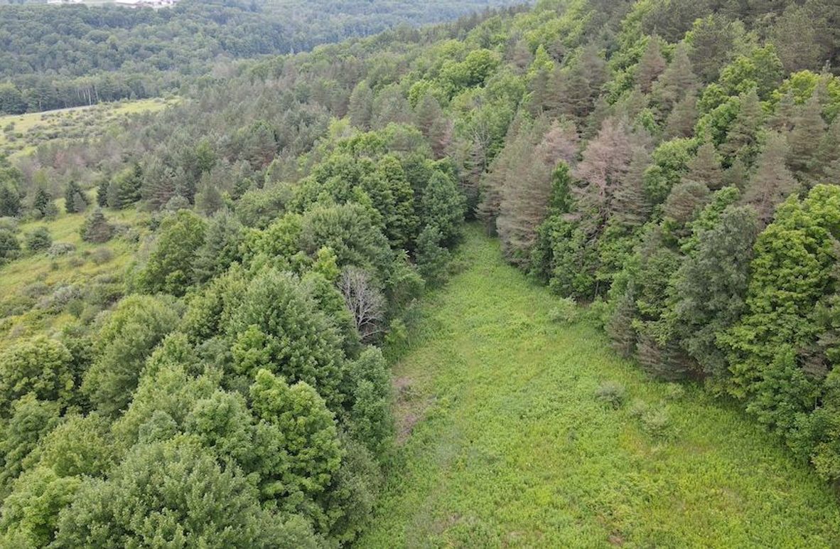2 dji_fly_20250630_160204_69_1751313773233_photo