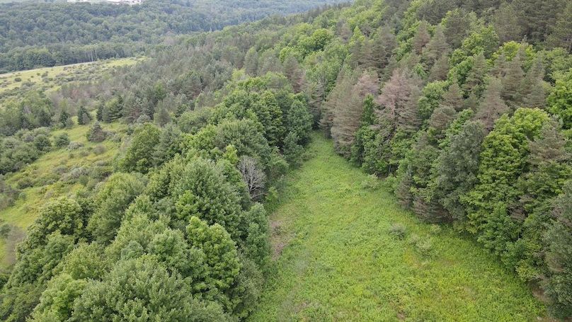 2 dji_fly_20250630_160204_69_1751313773233_photo