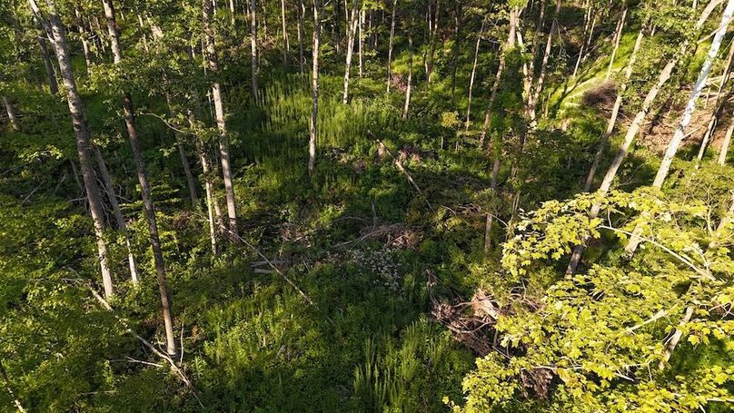 DJI_20250808182029_0816_D