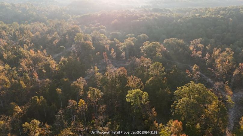 Claiborne Co-151-Geronimo-37