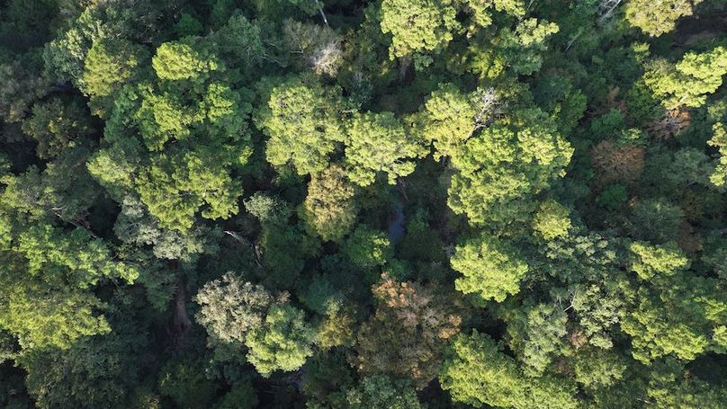 DJI_20250918080632_0118_D