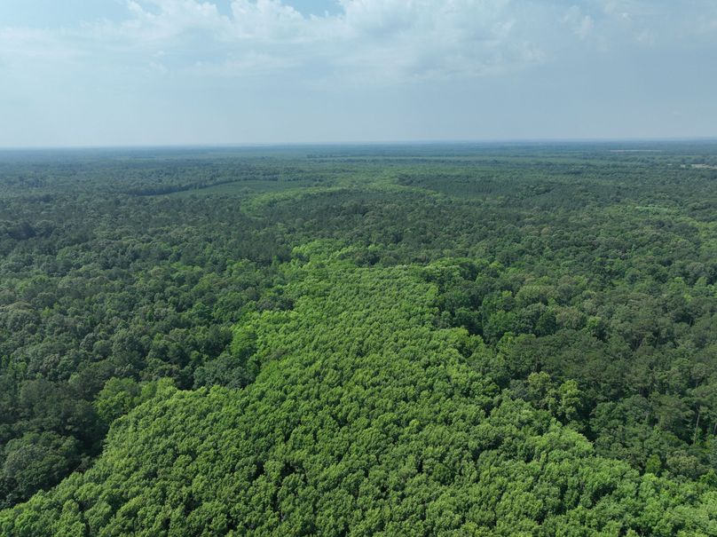 dji_fly_20230530_111404_129_1685483417297_photo