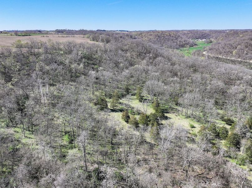 Strawberry Point- WTP-29