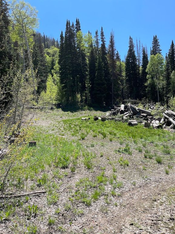 10 photo sanpete 555