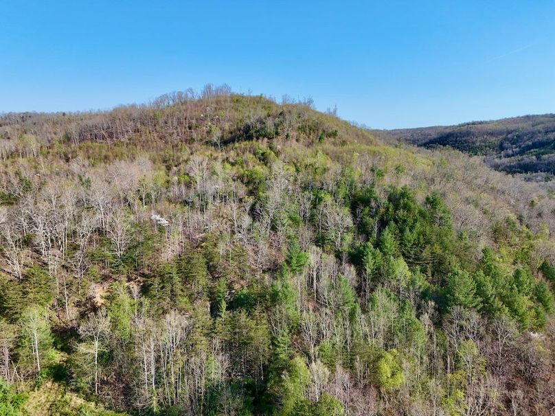 Scott Co TN 286 Keeton_072