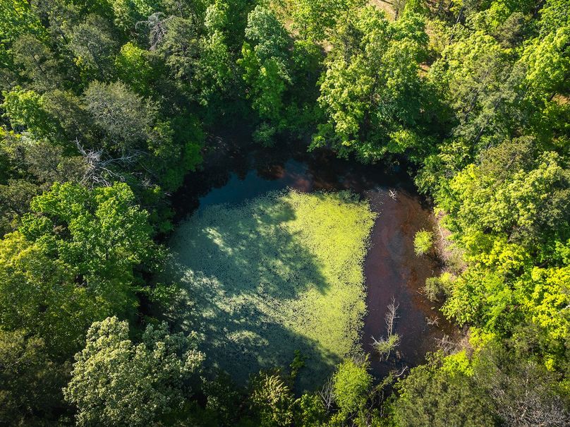 DJI_20250506090341_0171_D