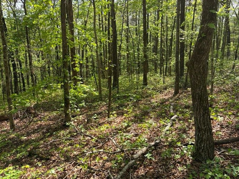 2914A12B-9617-44C5-AE20-48603006828C_1_105_c