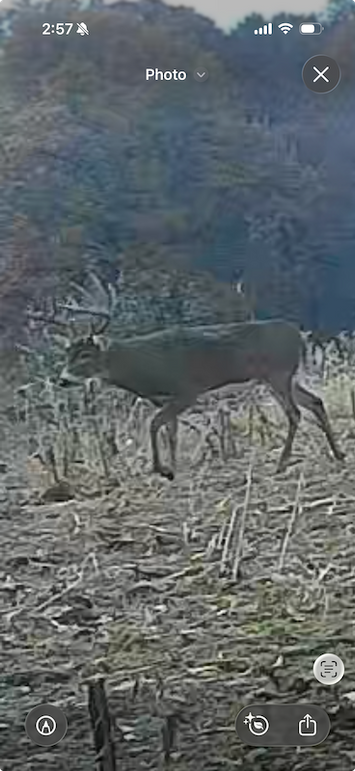 Screenshot 2026-02-10 at 2.57.15 PM