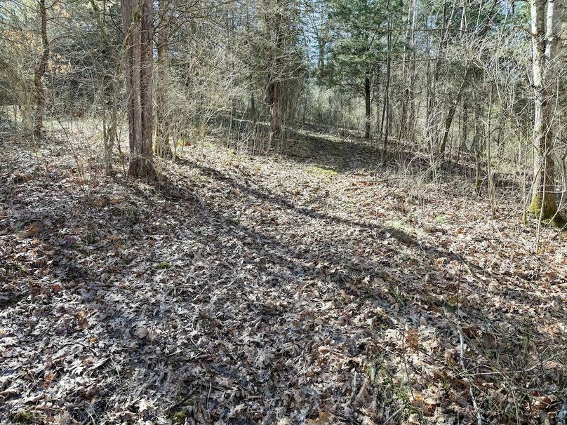 Fleming Petry 115-41