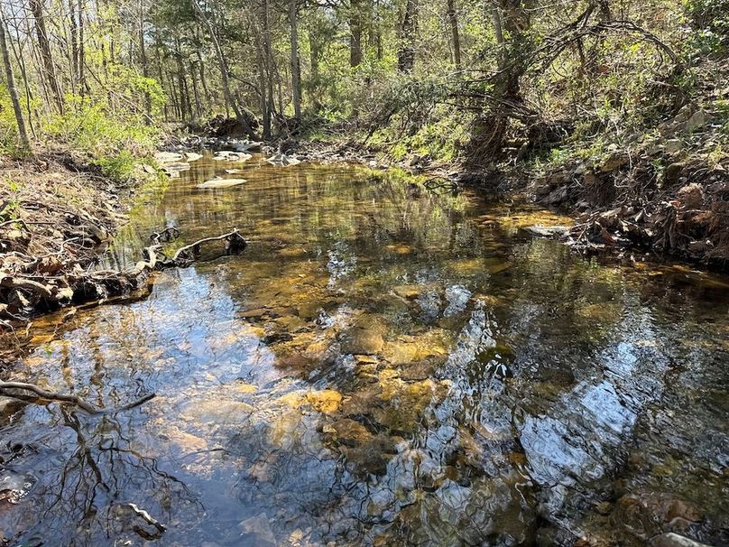 DJI_20260409_112430_830