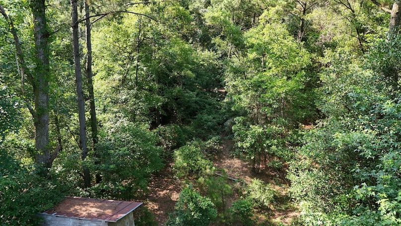 DJI_20250627094215_0085_D