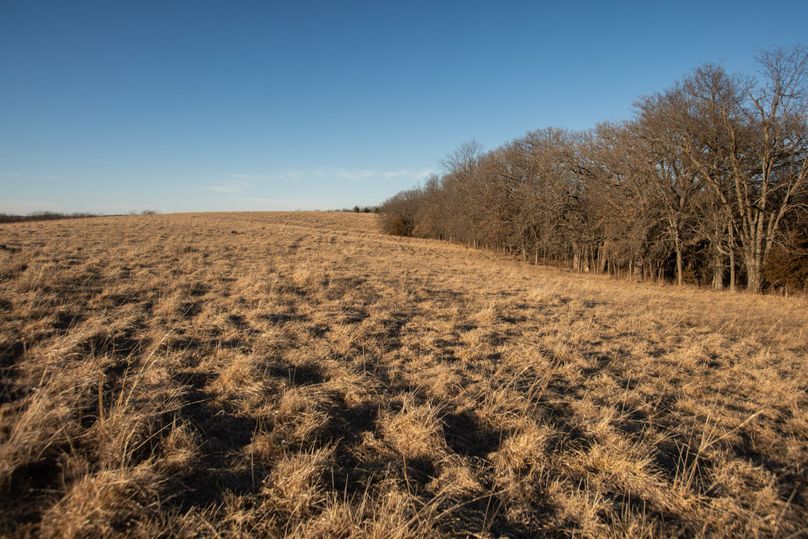 WORTH CO MO 537.44_61