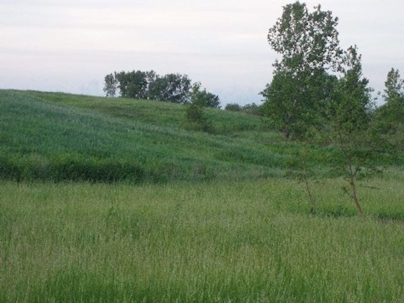 south pasture spring