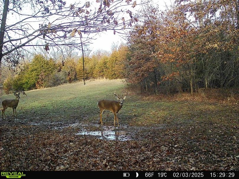 860322068421475-20-3-02032025153100-HD-SYFW2135