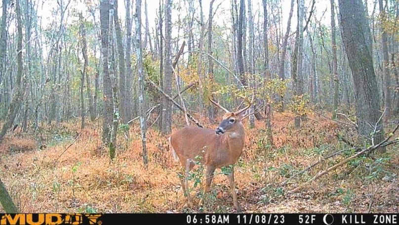 23110806580601019404_28628944629493-2