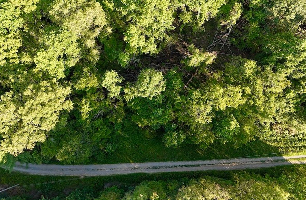 DJI_20250724190845_0003_D