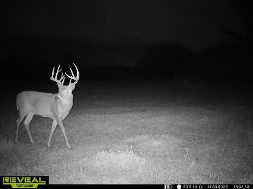 865509050128614-60-4-11032025180343-W1031038