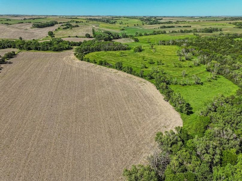 dji_fly_20240606_164526_0006_1717711227353_photo